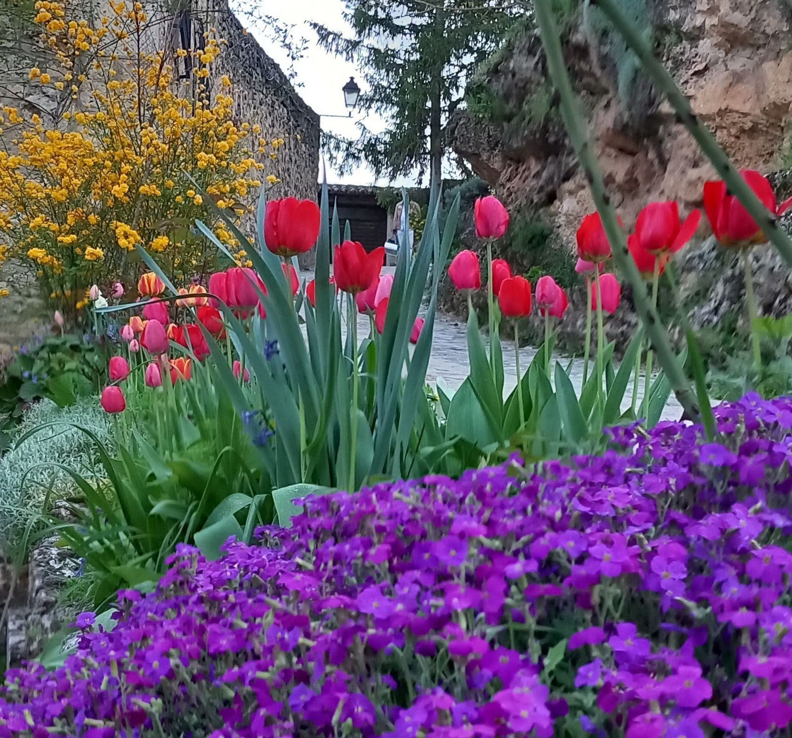 10 de mayo: Mes de María