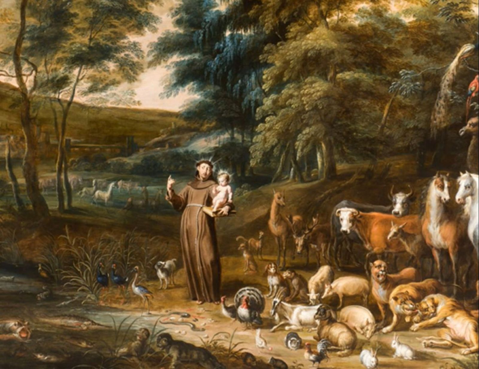 FRancisco y el Niño