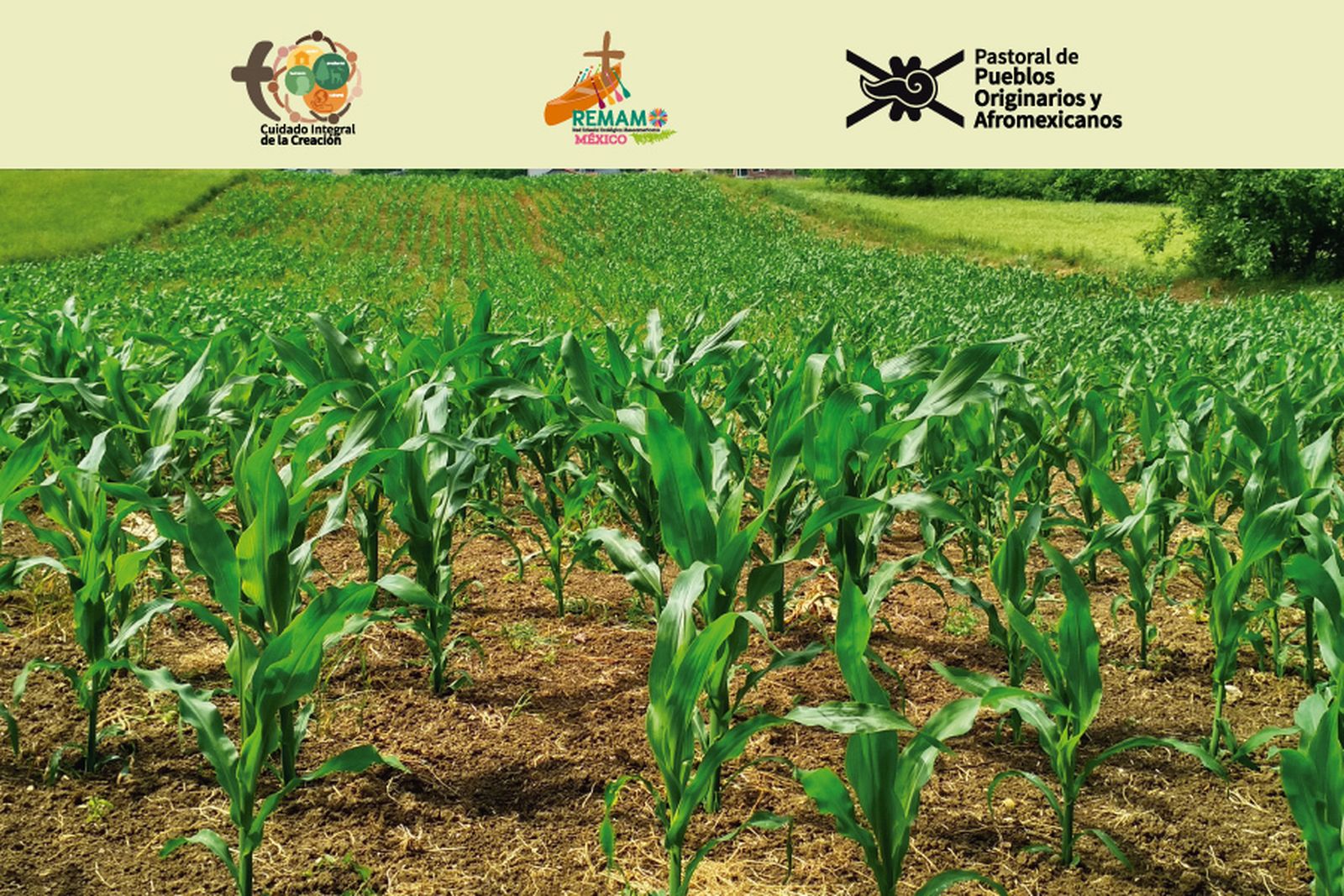 Mensaje Alimentación México