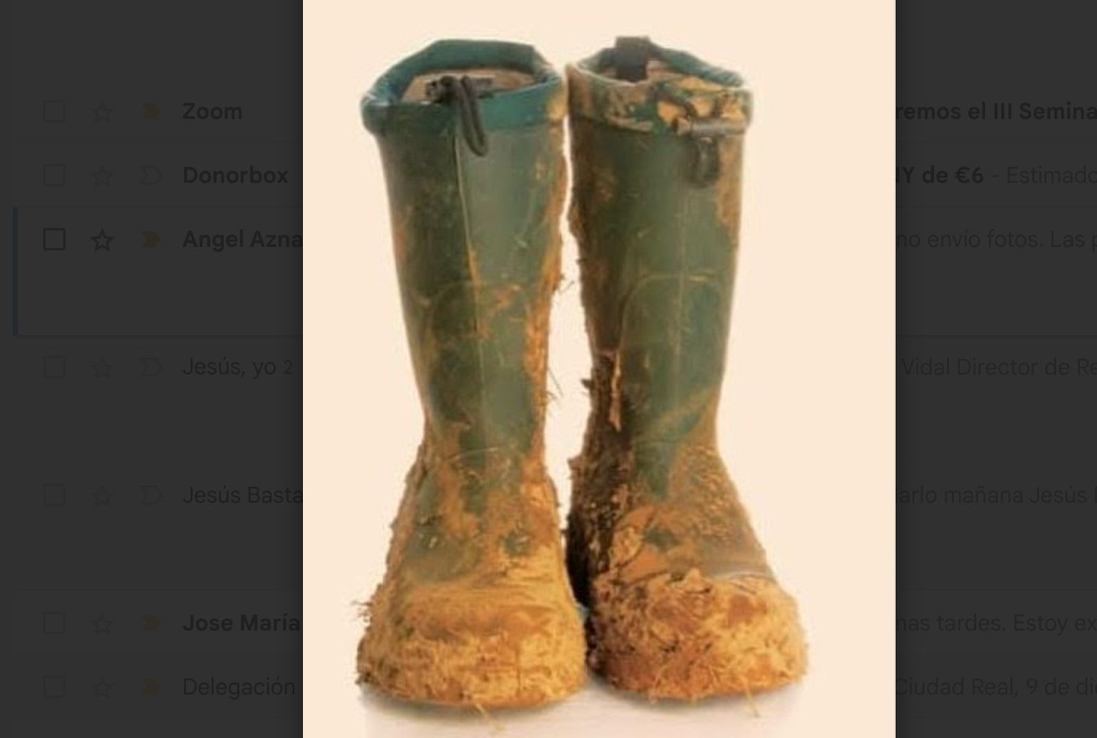 Botas de la dana