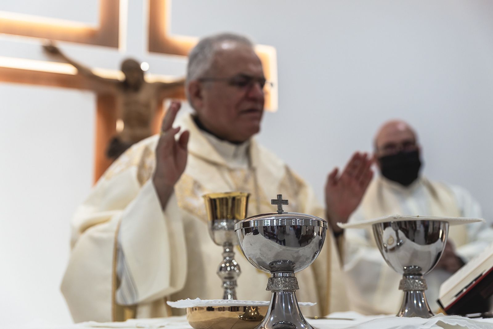 Cuidadores y custodios de la creación