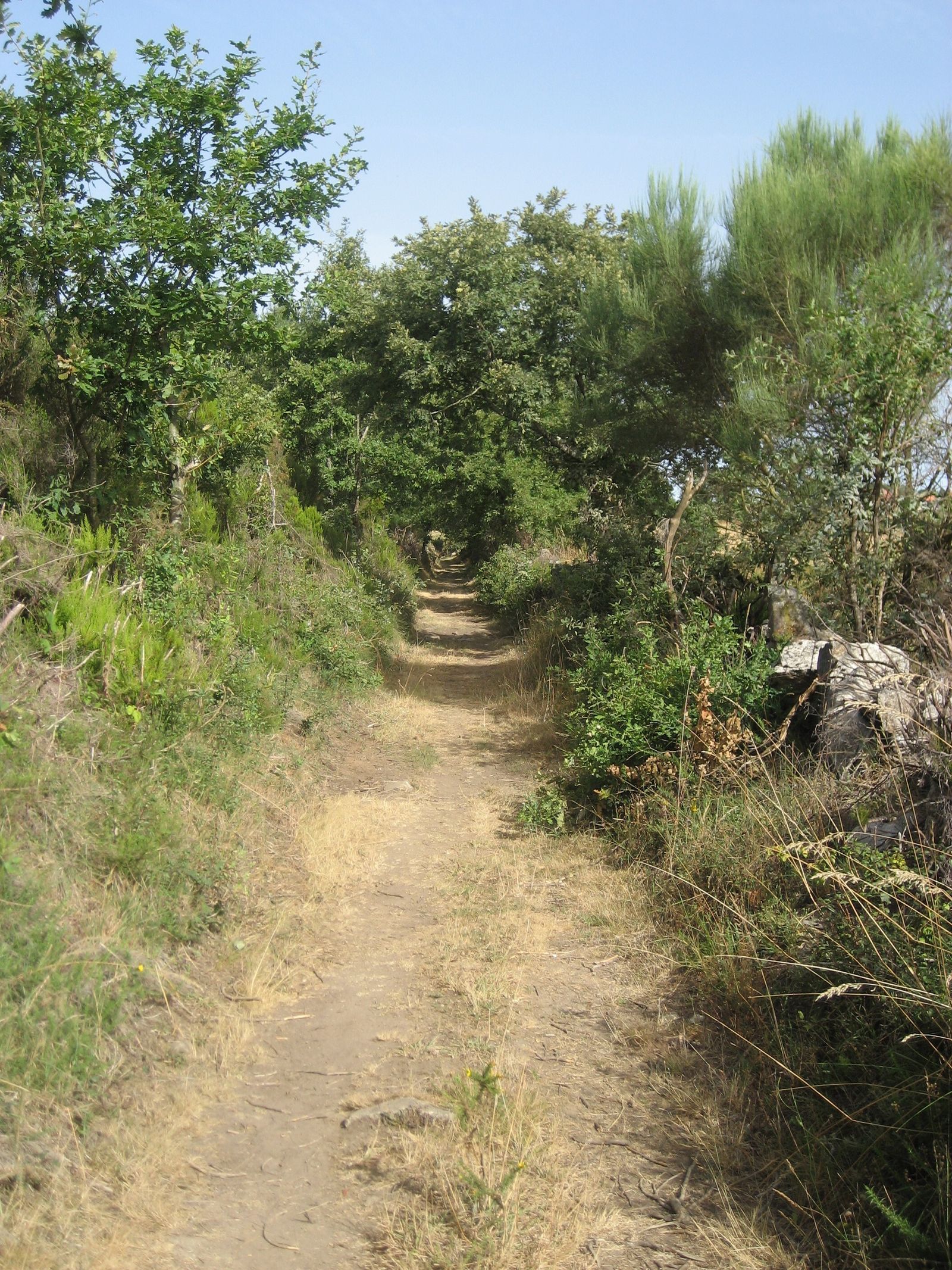 13 de enero: Tiempo Ordinario