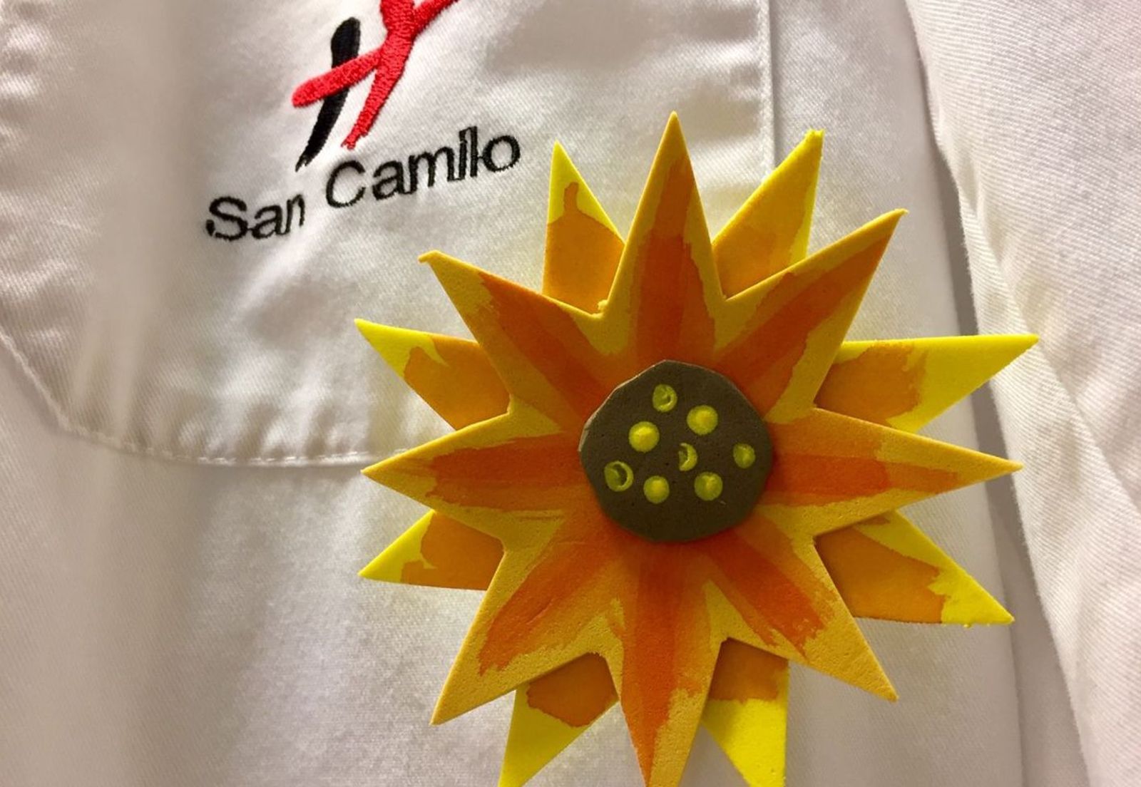 Los girasoles de los camilos, por los cuidados paliativos
