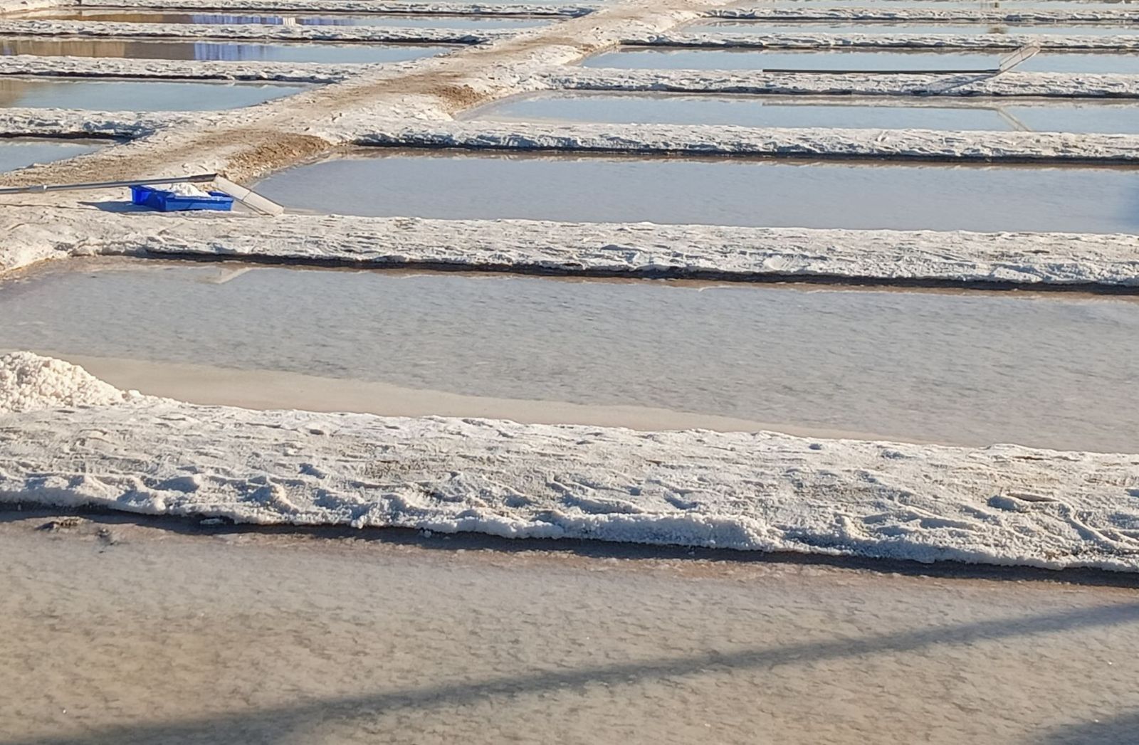 Salinas de Isla Cristina (Huelva)