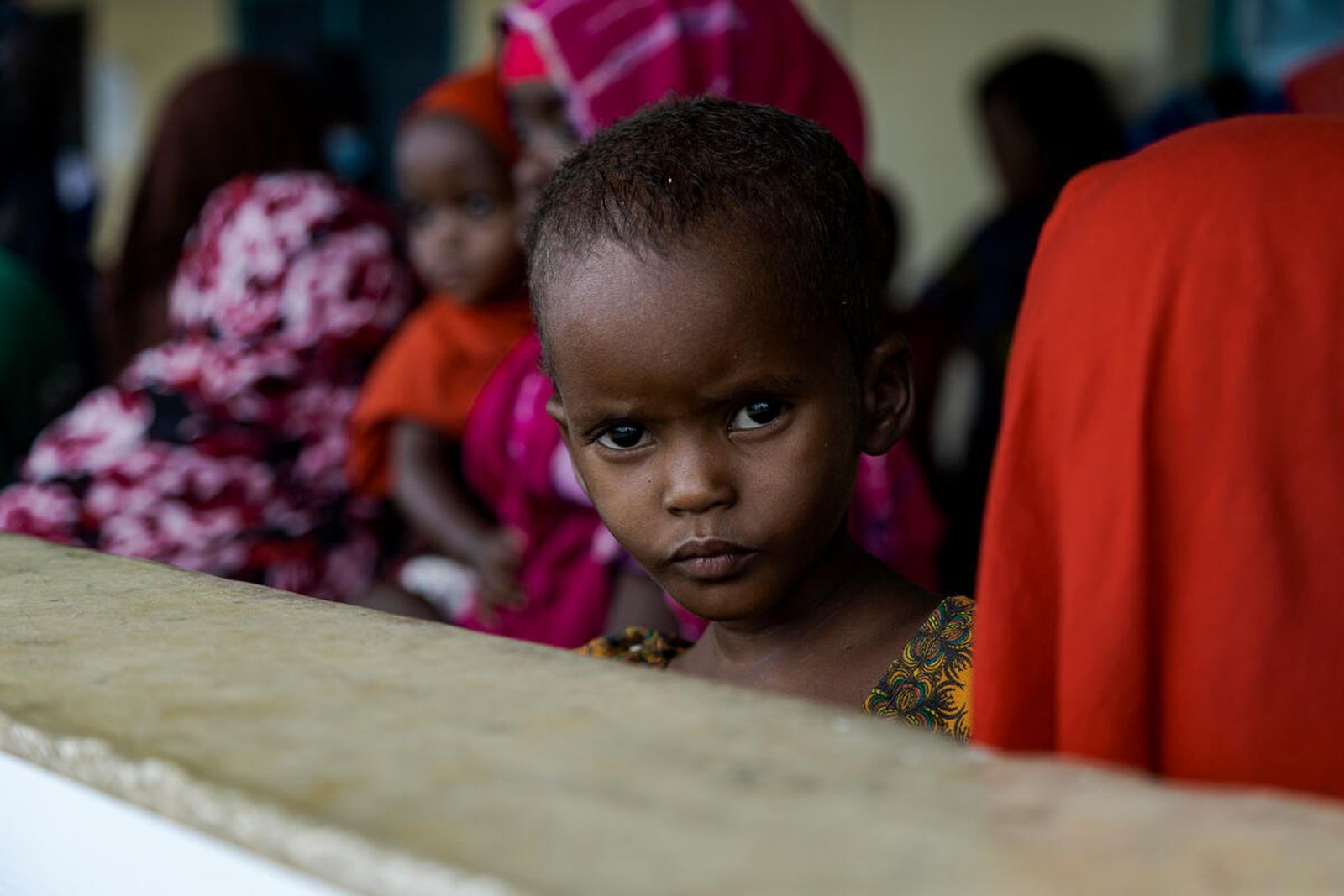 Programa Mundial de Alimentos