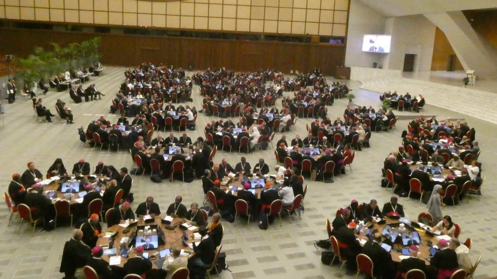 Asamblea Sinodal 2024 3