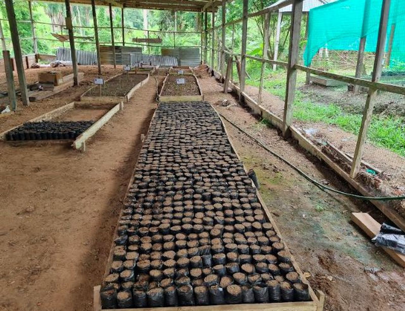 Siembra de los productos