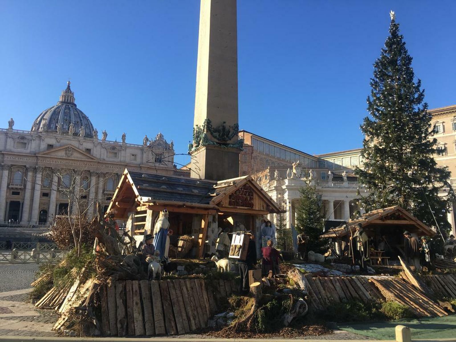 El pesebre y el árbol del Vaticano