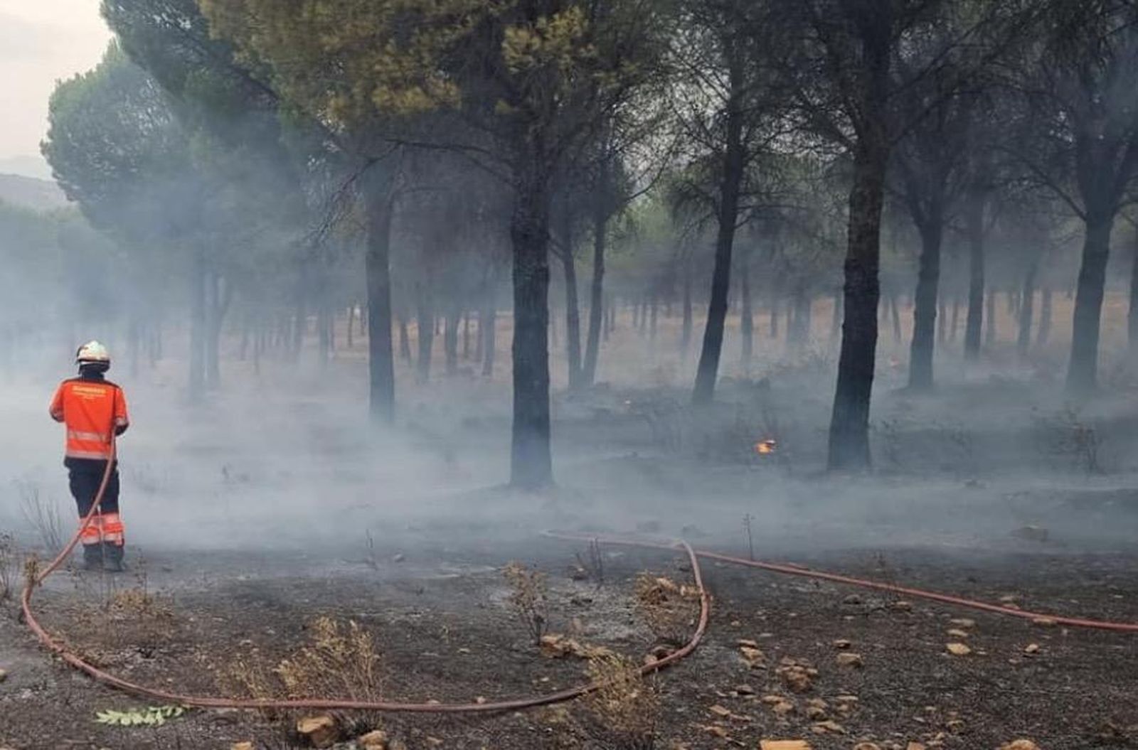 Bombero en el incendio de Sierra Bermeja