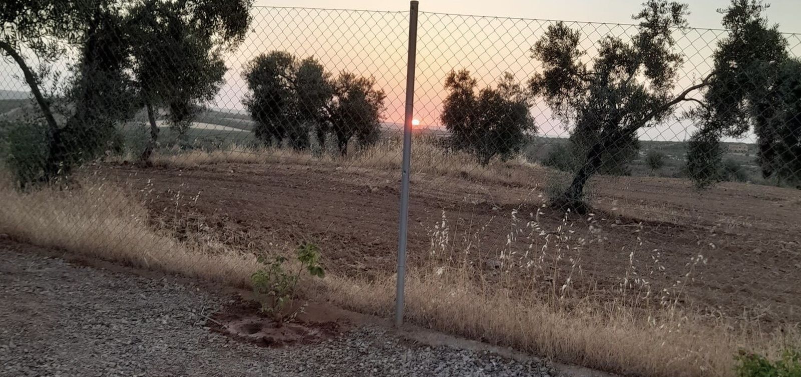 209af268-04d7-470d-ac0e-e47dc3f71c26