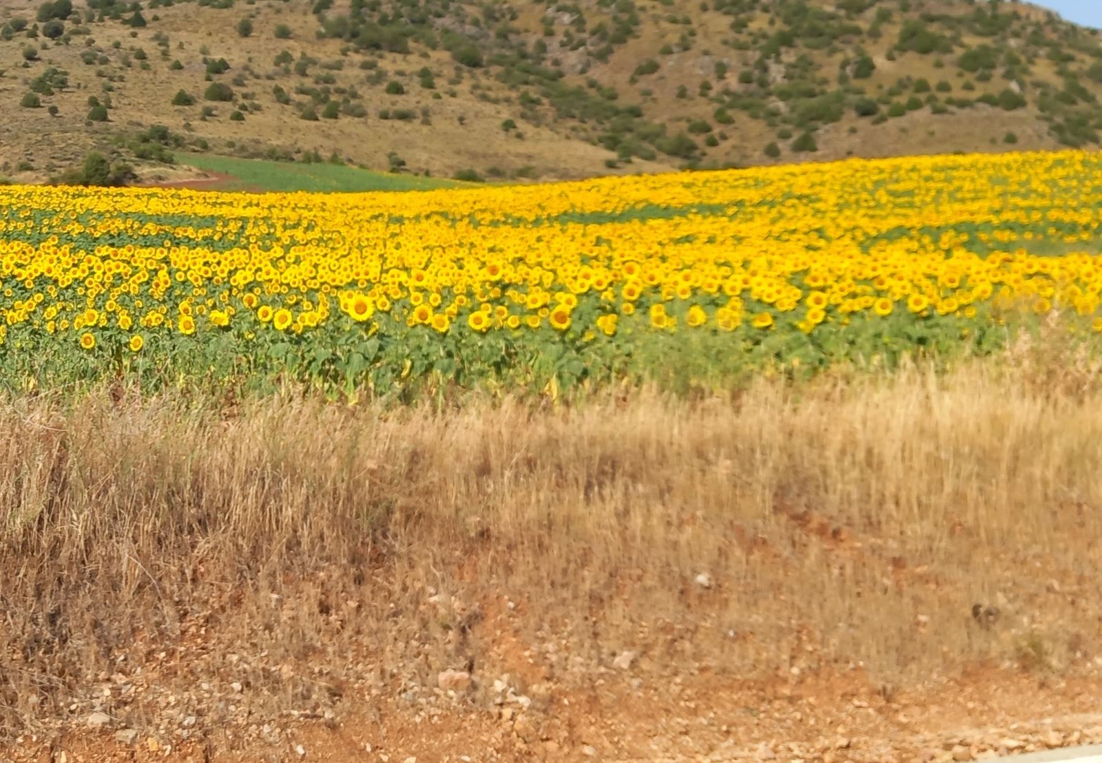 19 de Mayo: Mes de María