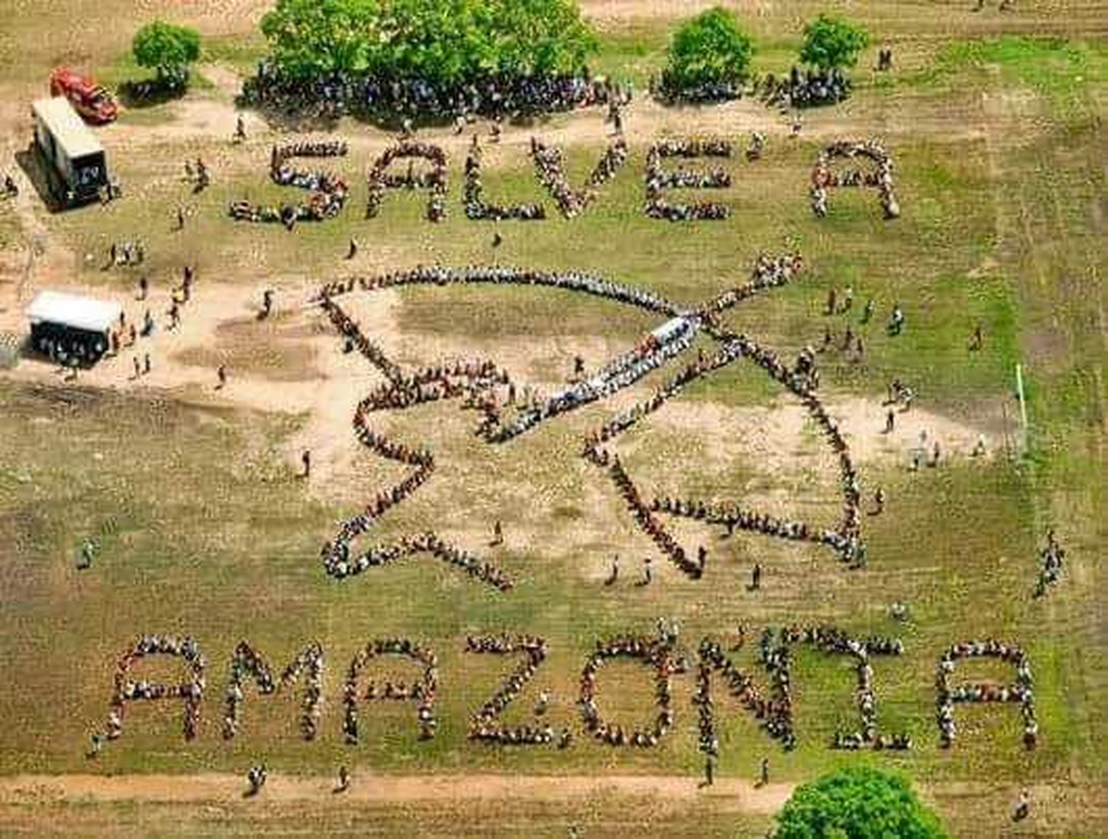 Salvemos la Amazonía de todos