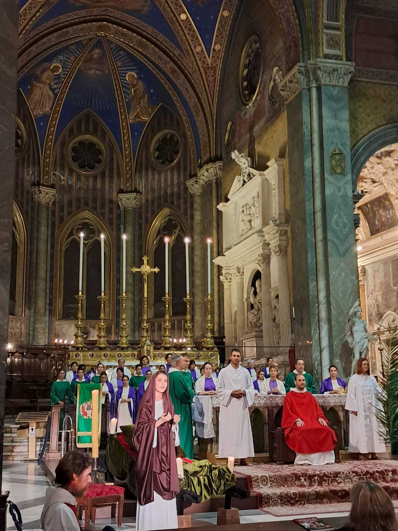 El Misteri de la Selva