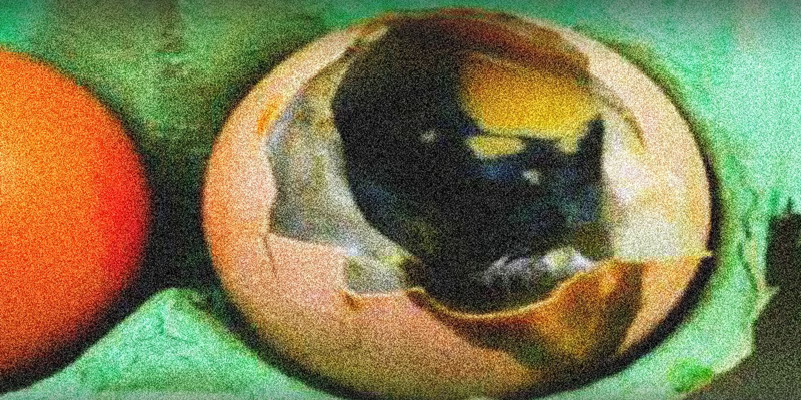 Huevos podridos