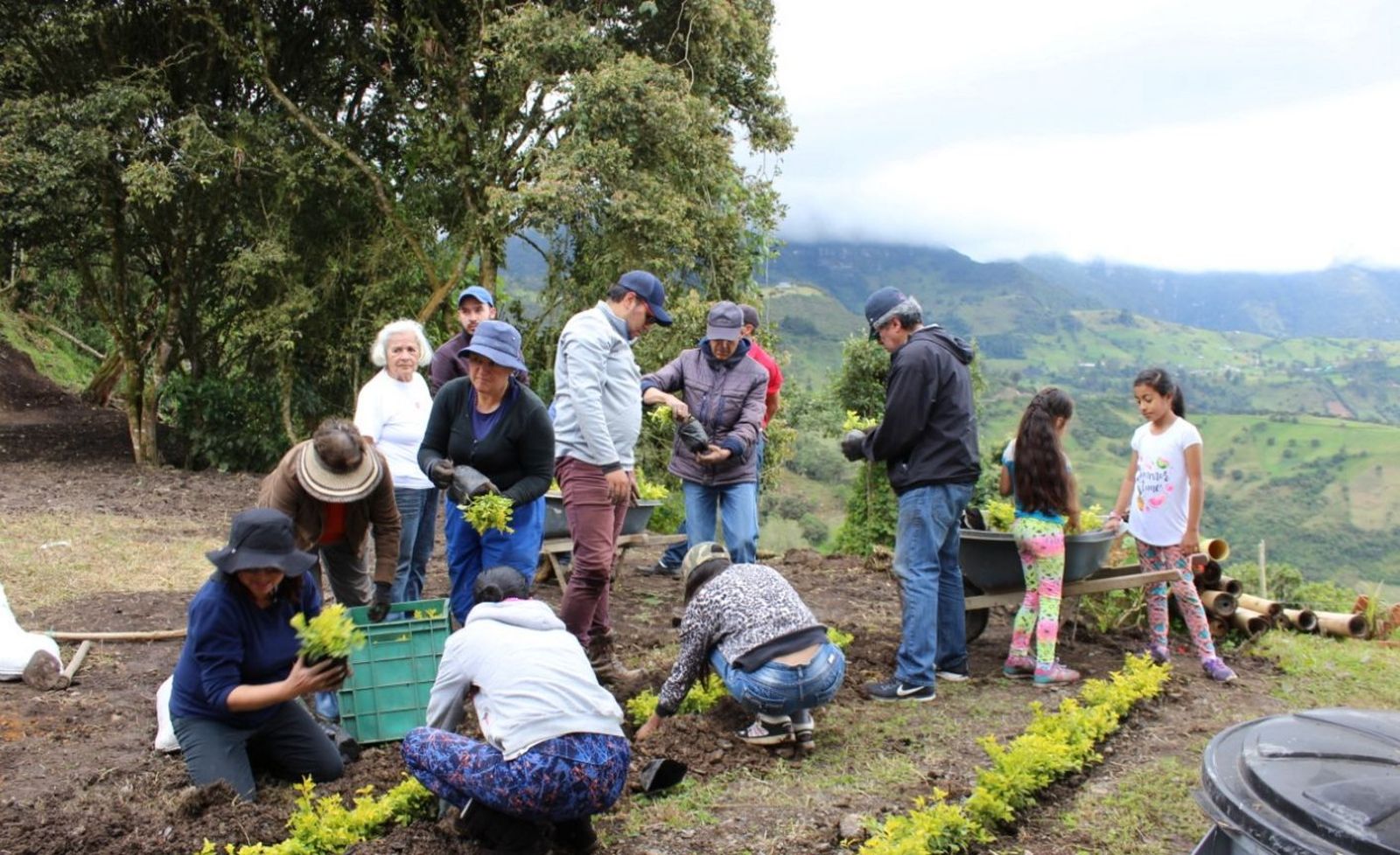 Cultivo de la Tierra