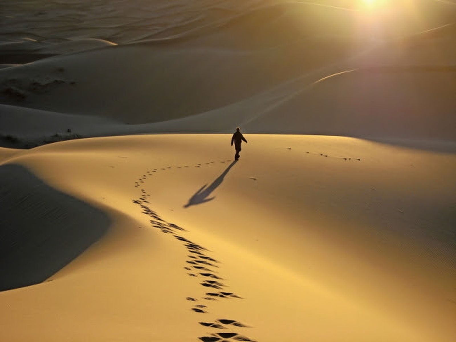 En medio del desierto