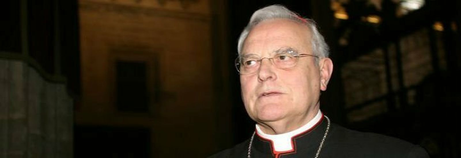El cardenal Amigo