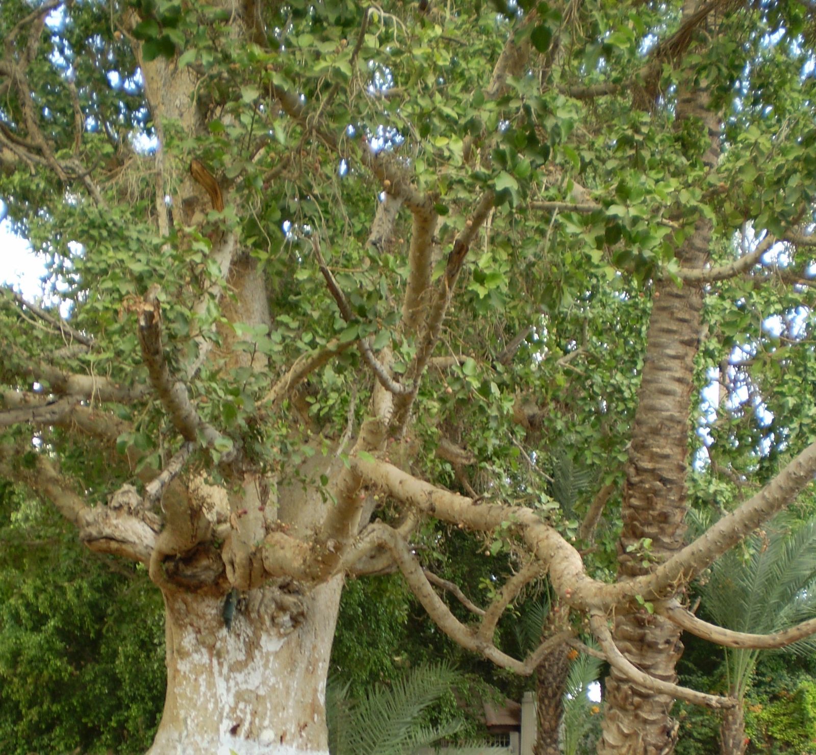 15 de abril: Martes Santo