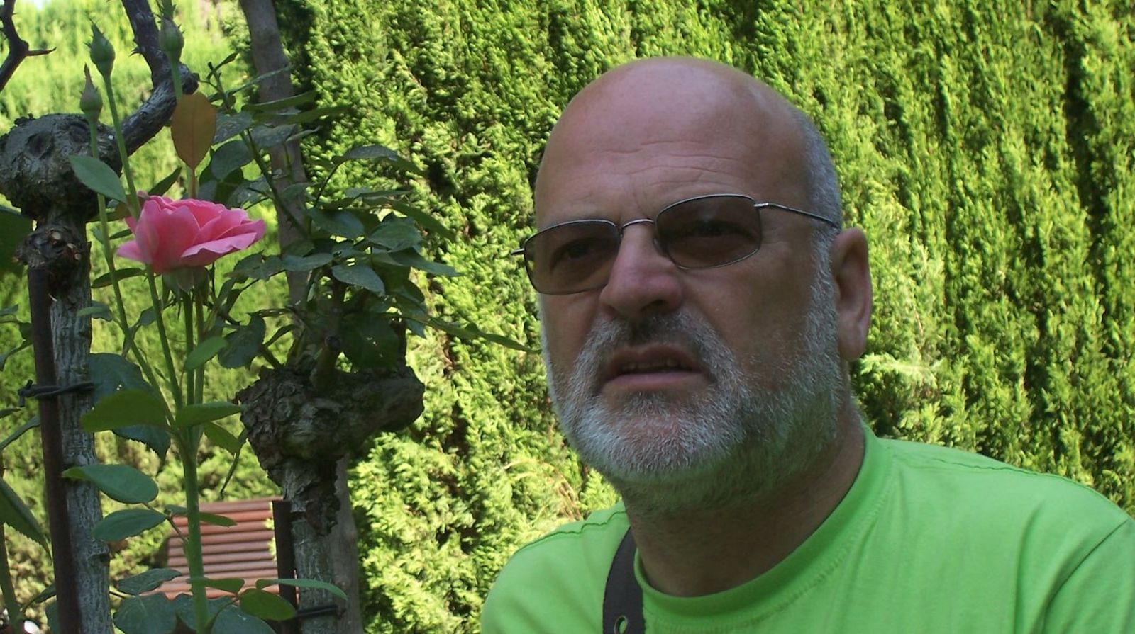 José Alberto Vicente