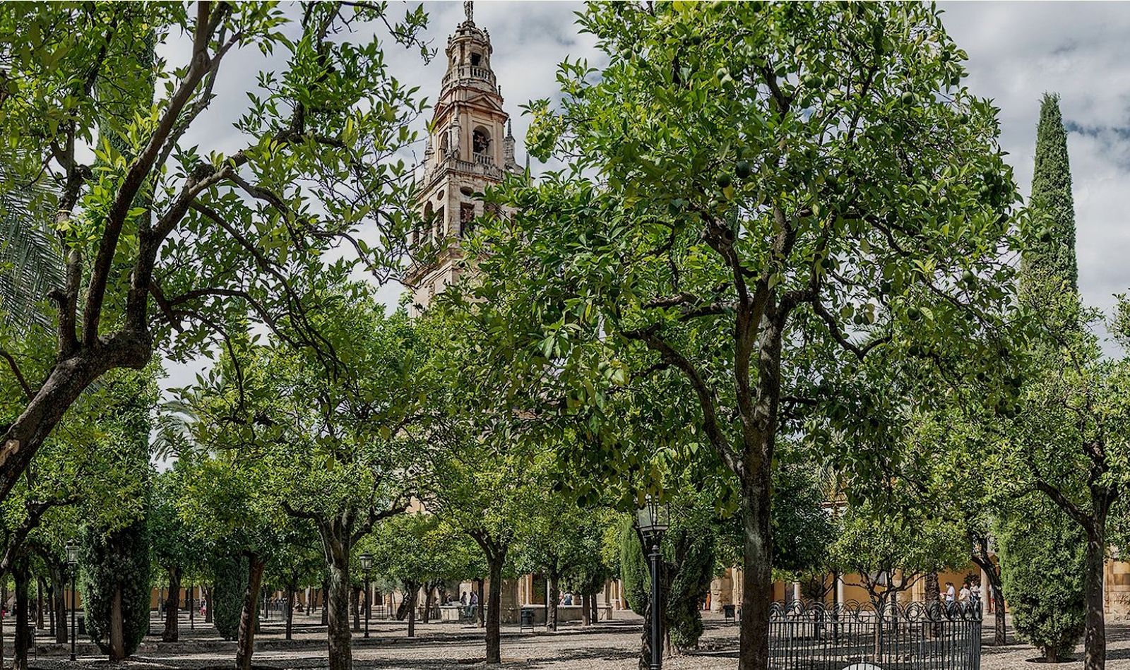 Patio de los naranjos y catedral de Córdoba