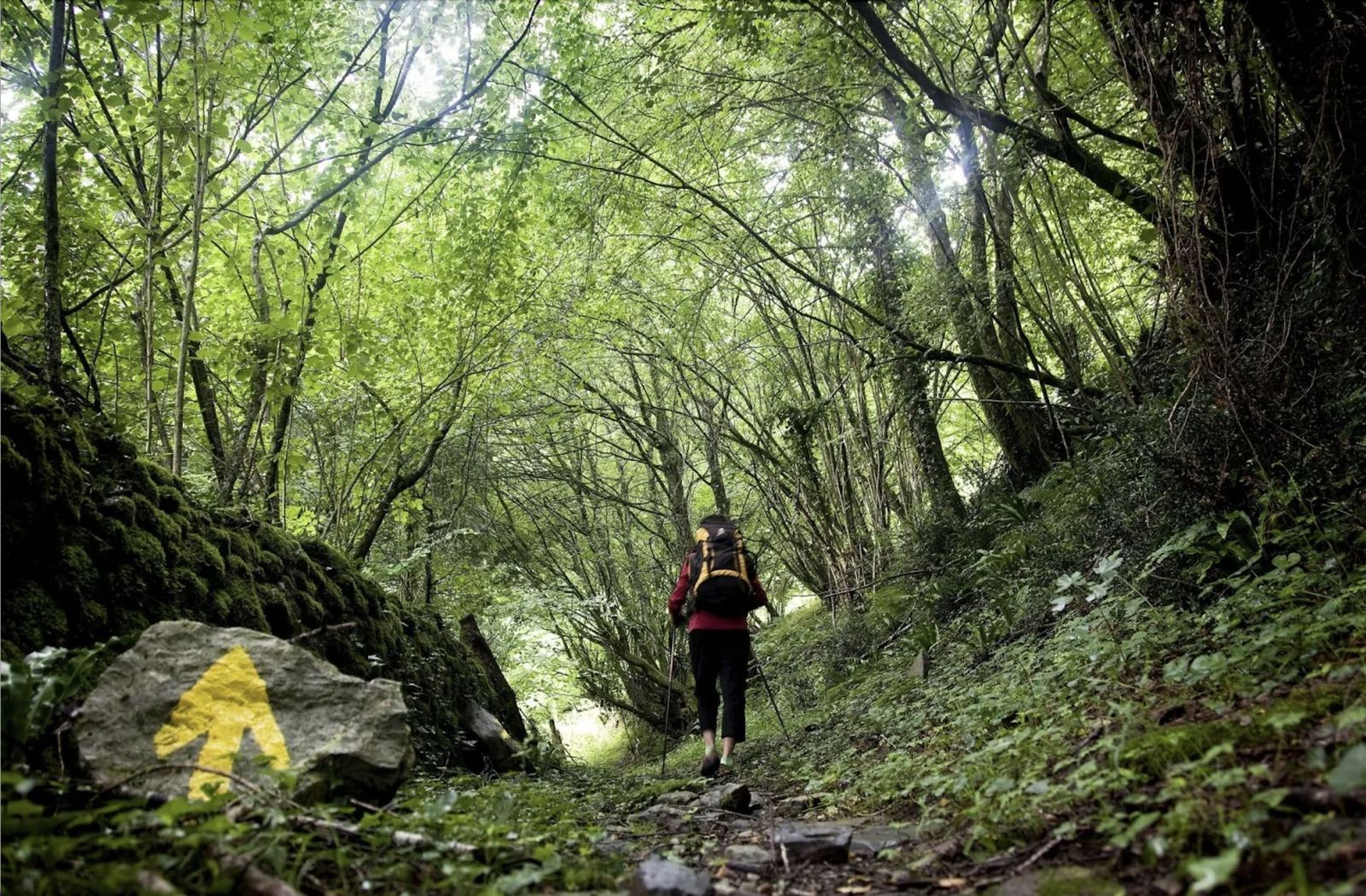 Peregrina en el Camino de Santiago a su paso por Navarra