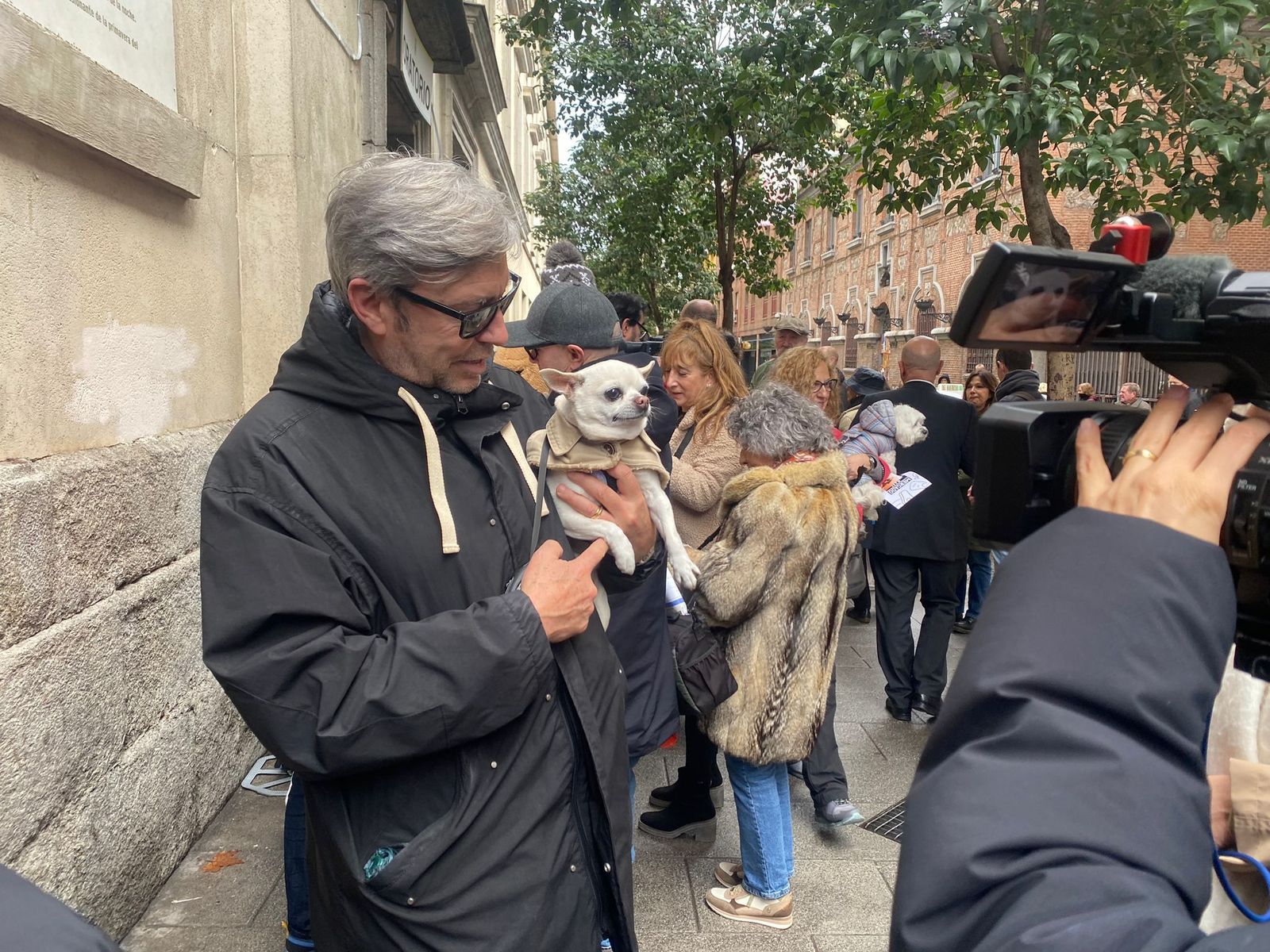 Bendición de animales en San Antón