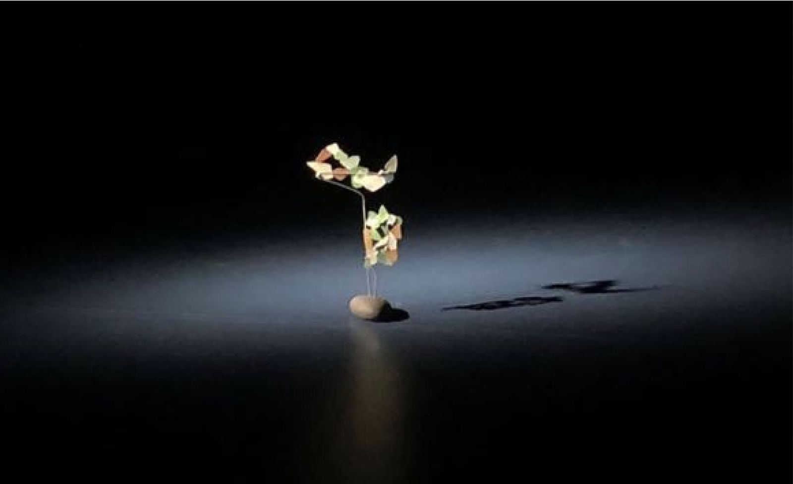 El proyecto de Loyola está patrocinado por CaixaBank