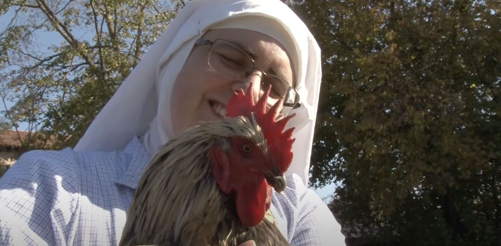 Las 'gallinas' de Belorado