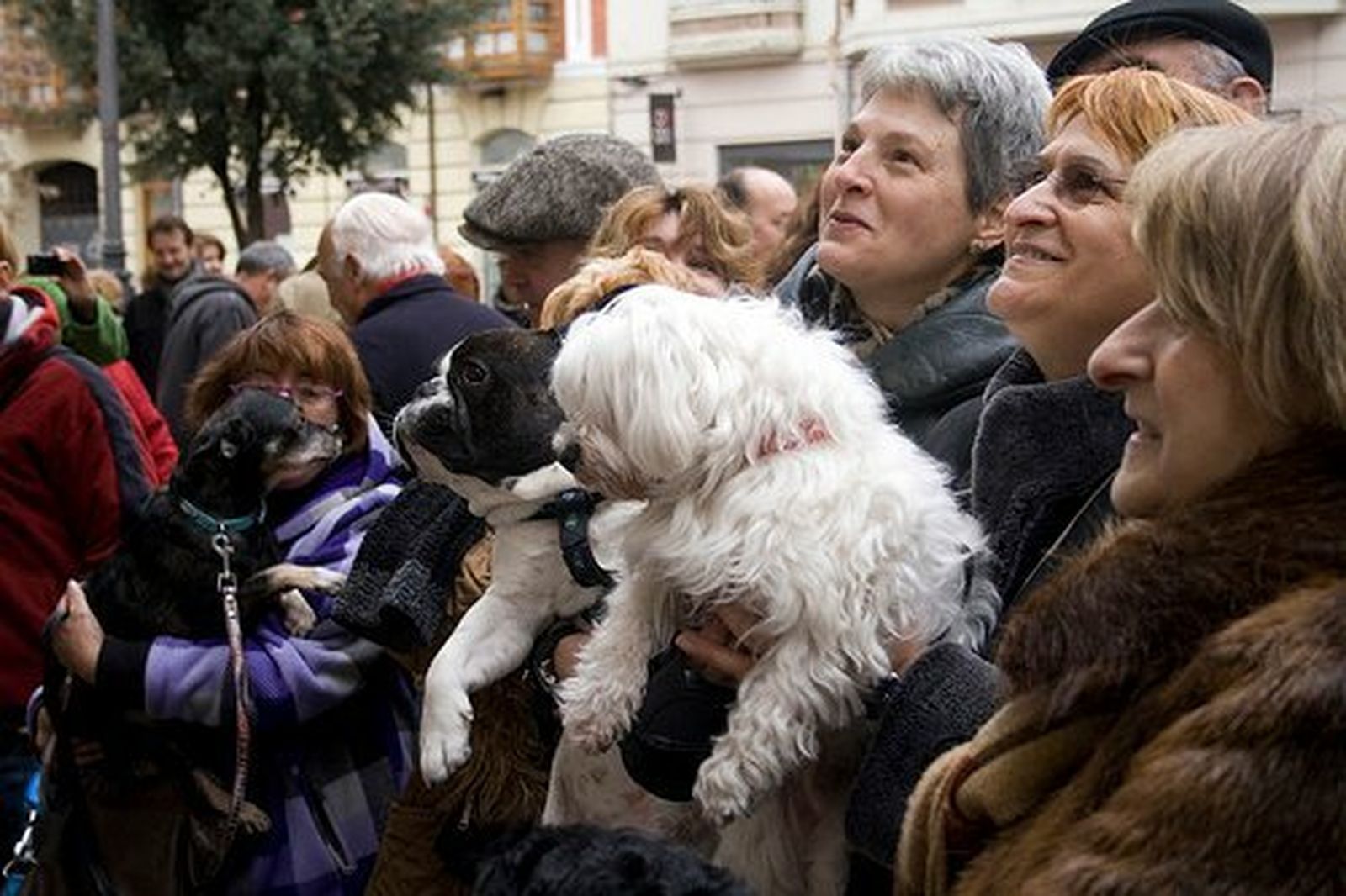 La gente espera a que sus mascotas sean bendecidas