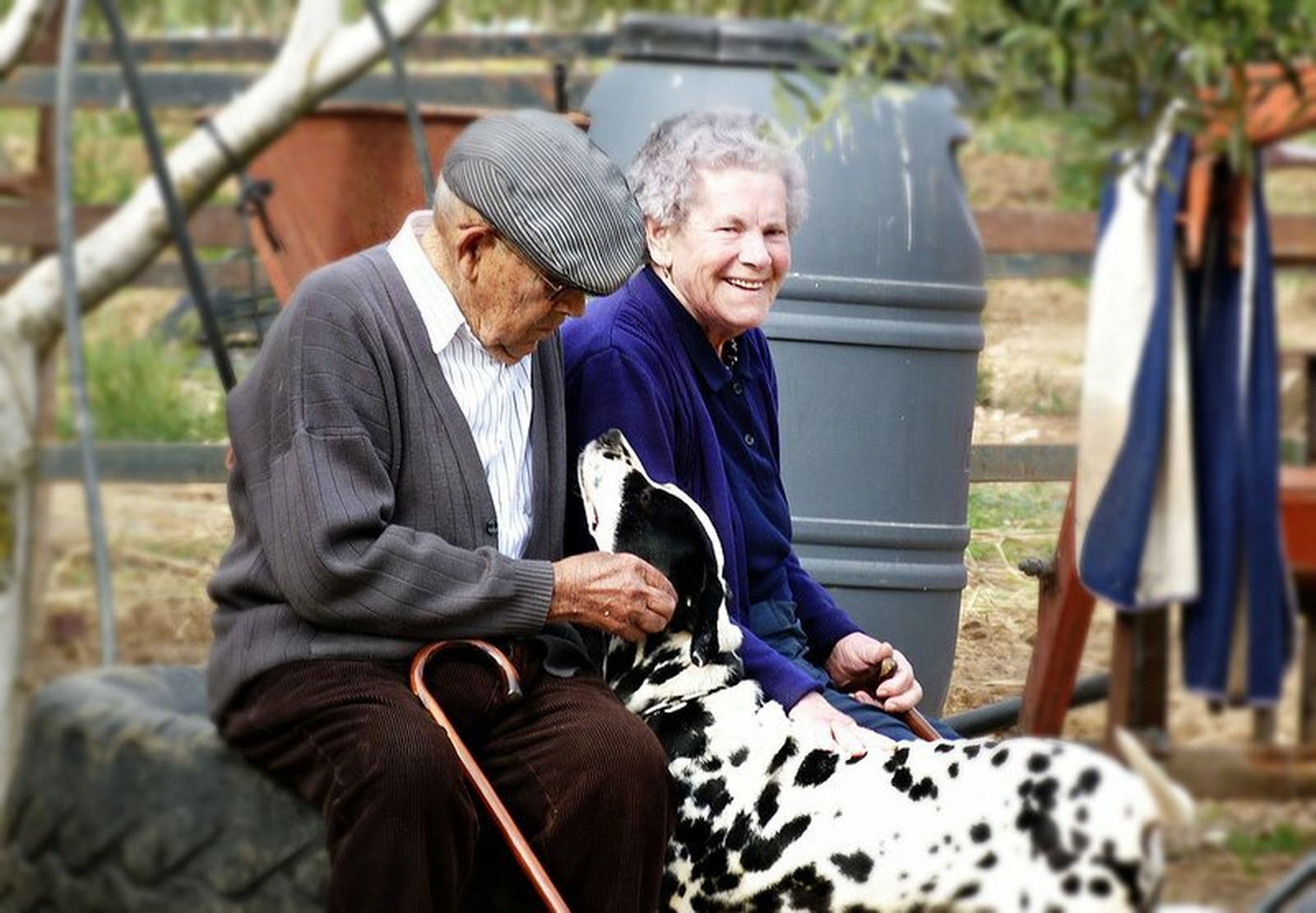 Ancianos y perro