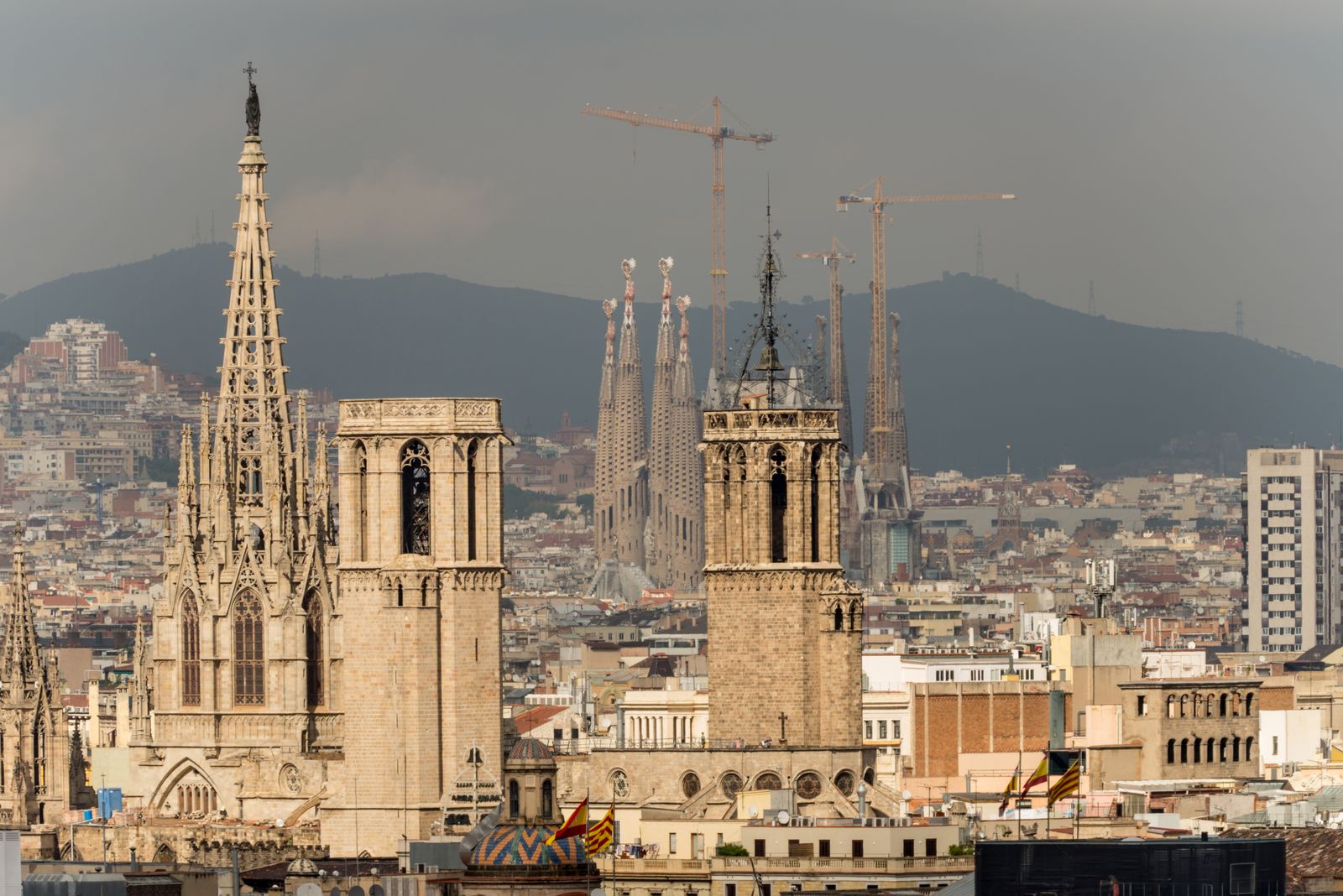 Barcelona, vista desde la estatua de Colón.
