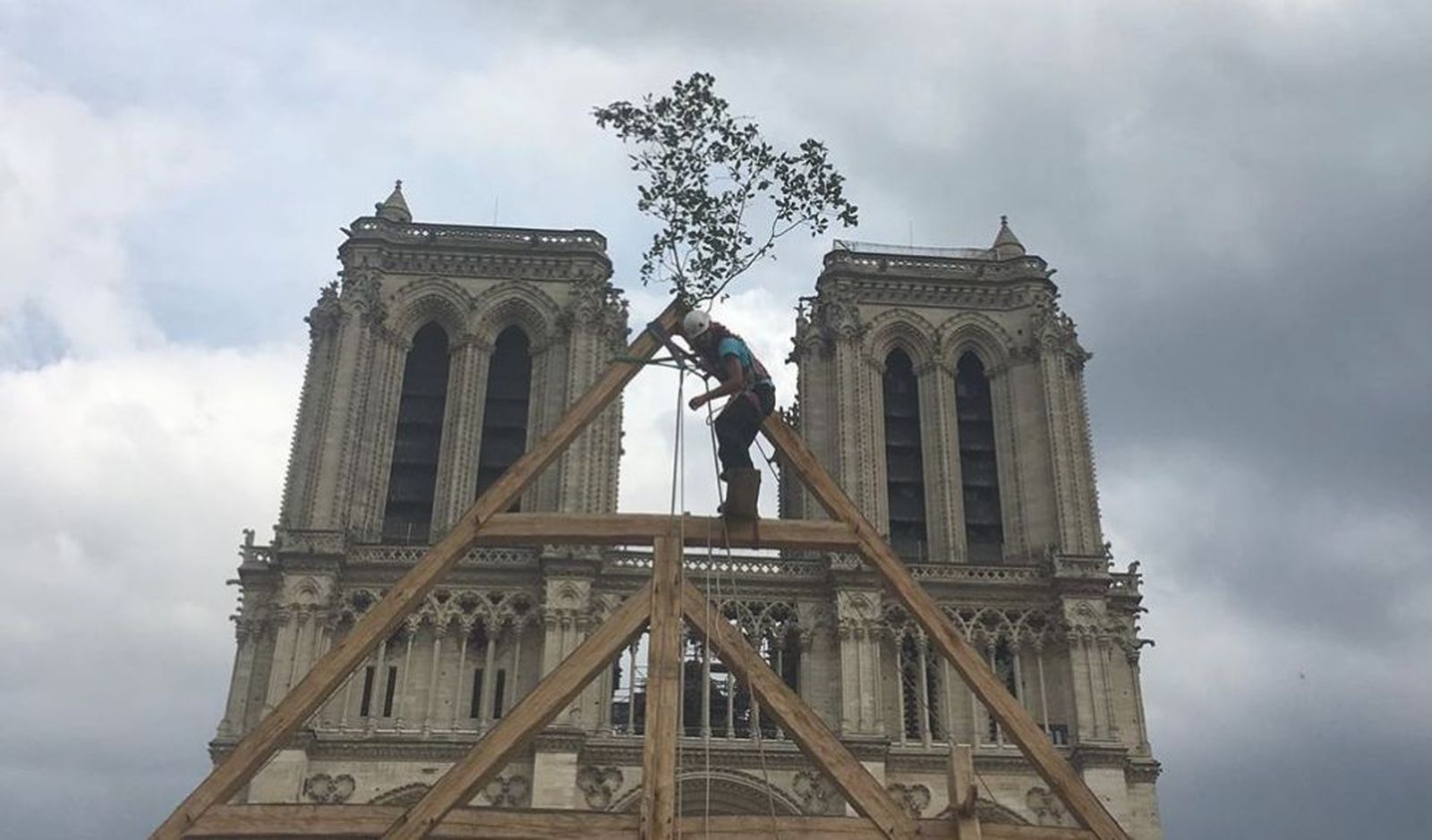 Uno de los carpinteros, subido al entramado de madera de la reconstrucción de Notre Dame