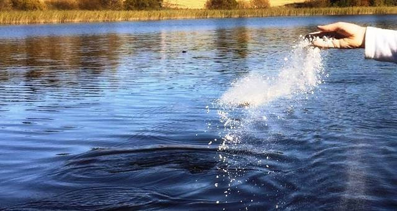 Esparciendo las cenizas de un difunto