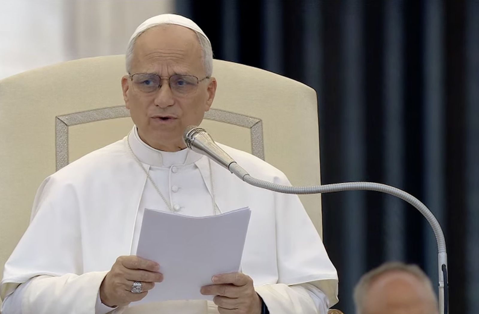El Papa, durante la catequesis
