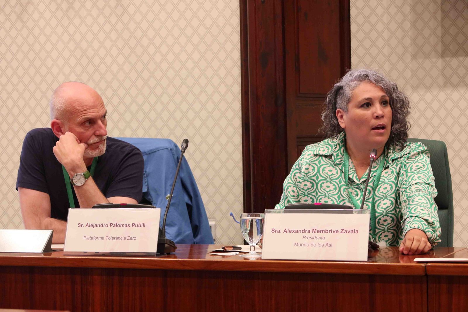 Alejandro Palomas, en la comisión del Parlament