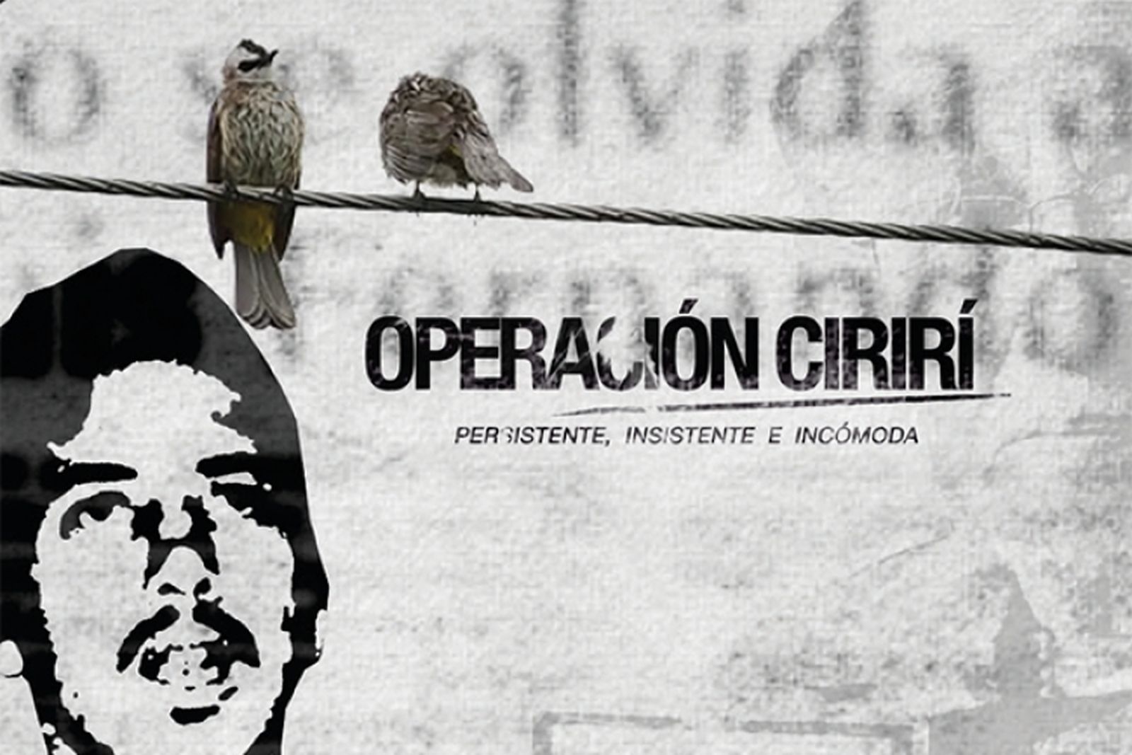 Fabiola Lalinde y la operación cirirí