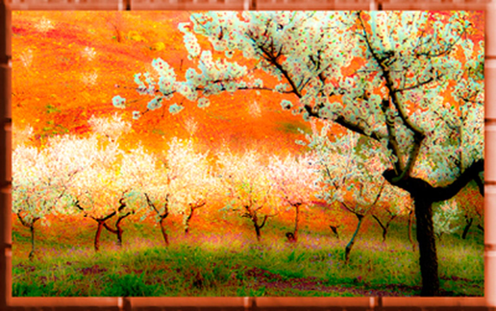 Versos para orar en la NATURALEZA 1