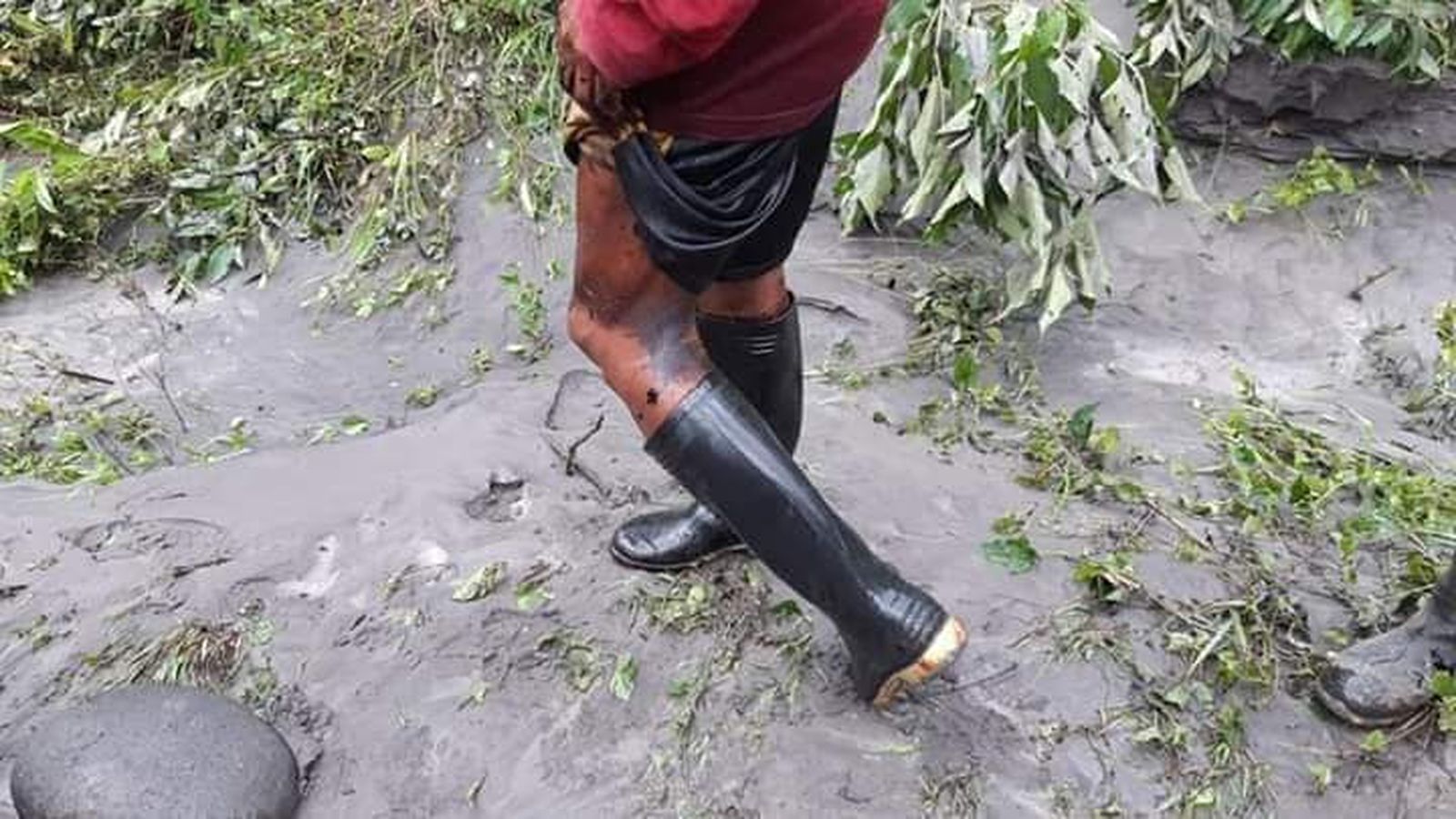 Petróleo en la selva