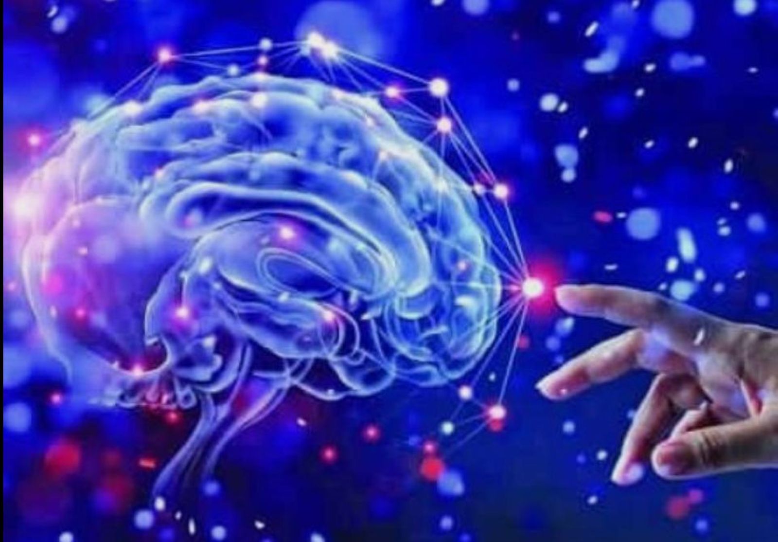 Talento y coaching ejecutivo