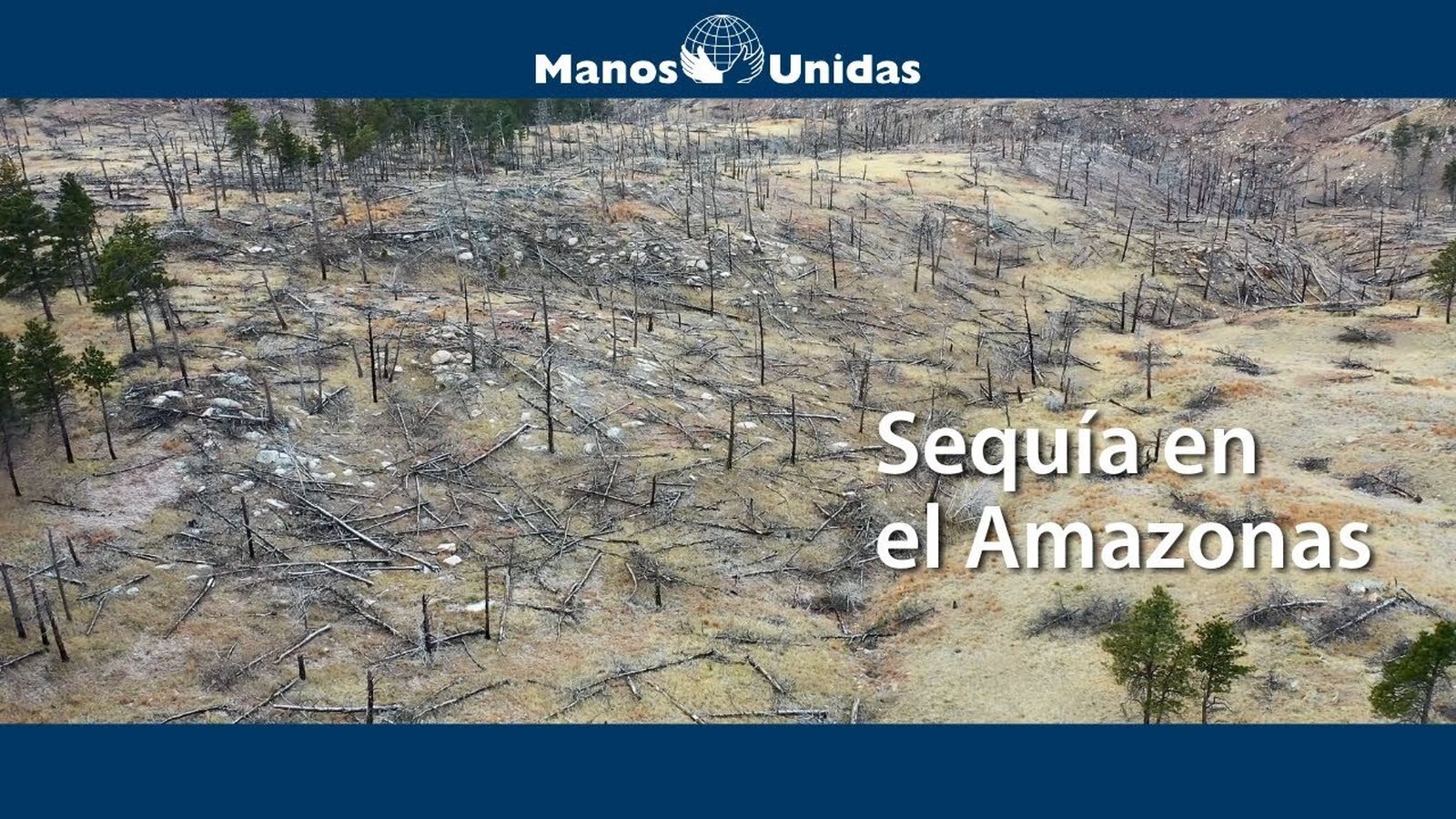 La Amazonía se enfrenta a una sequía sin precedentes que amenaza el equilibrio ambiental global