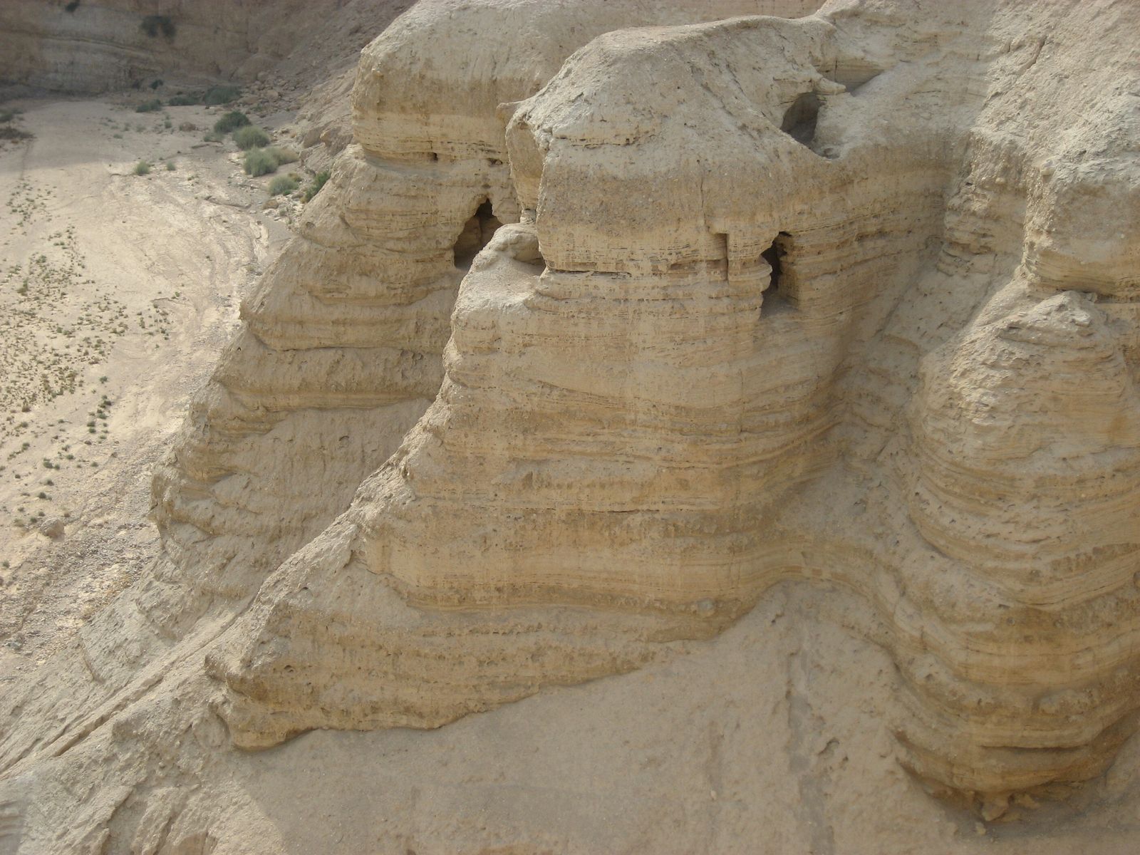 I Domingo de Cuaresma