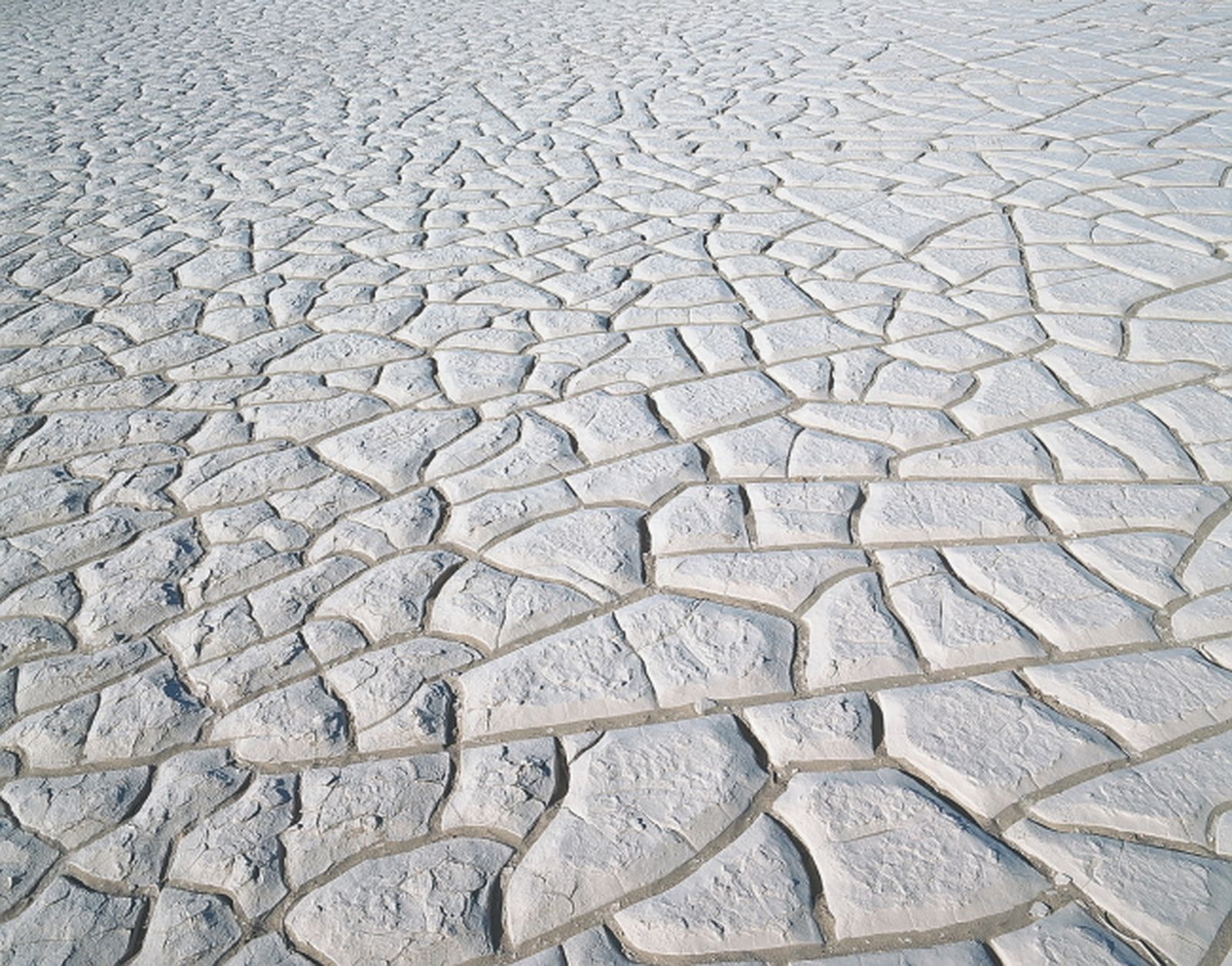 Plantearnos las grandes cuestiones