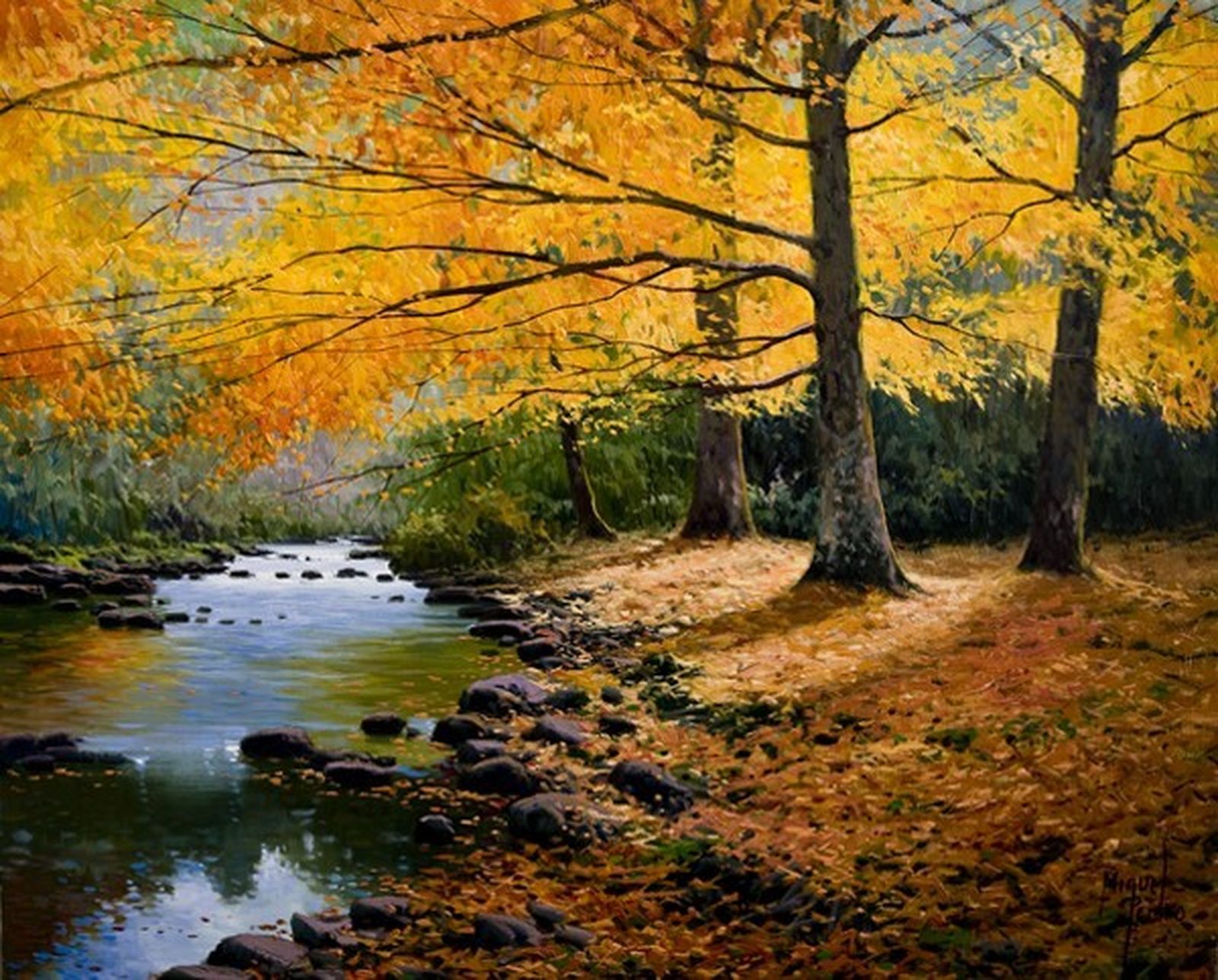 Descubrir el silencio