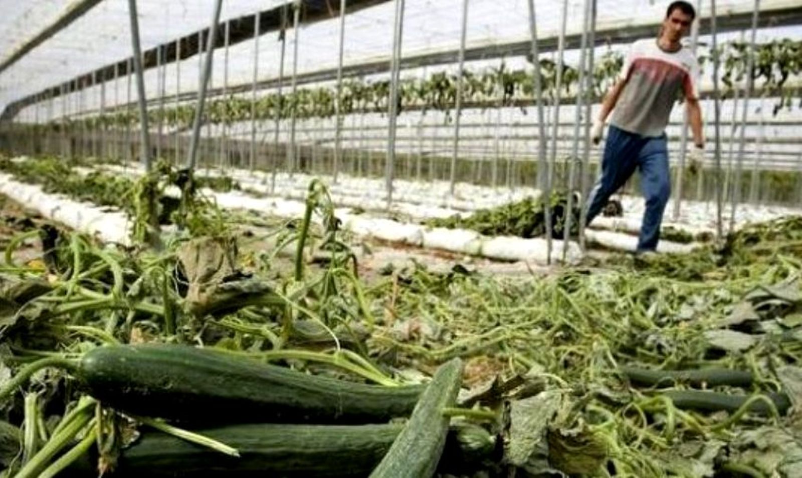 Trabajadores migrantes