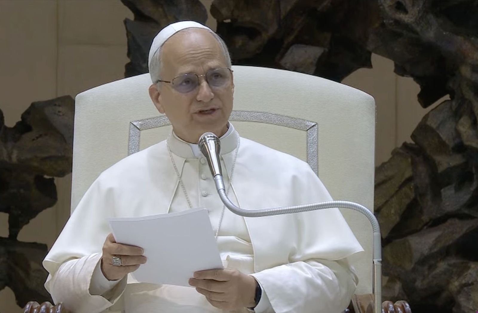 El Papa, en la audiencia