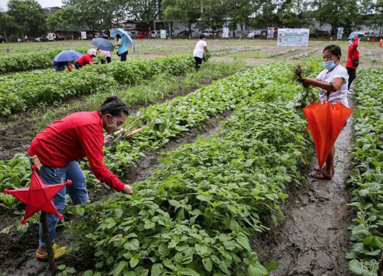 Misiones salesianas. Filipinas