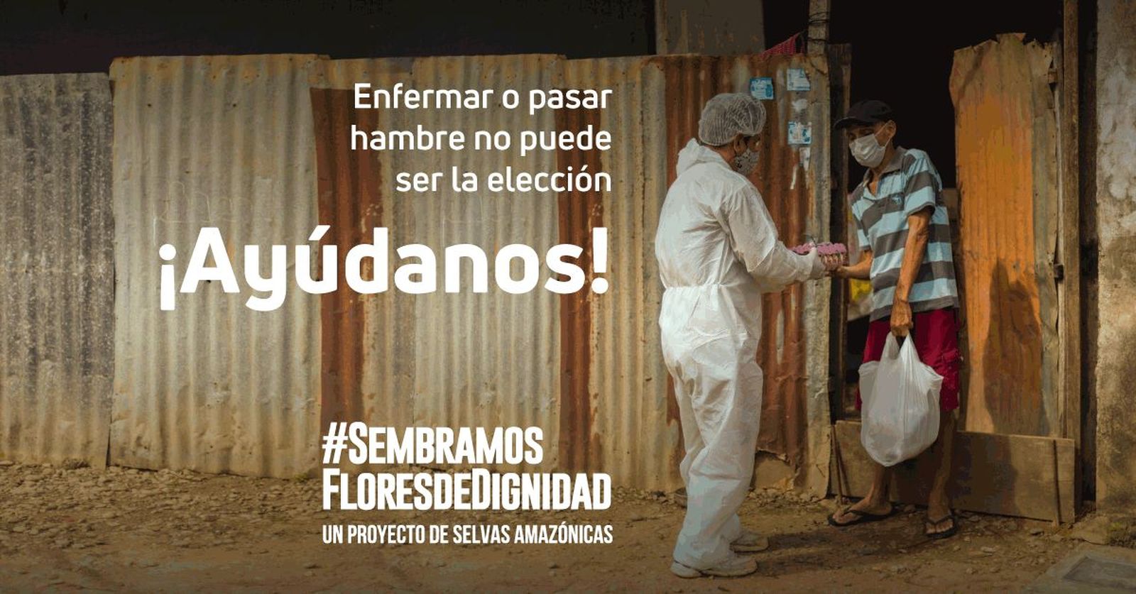 Proyecto #SembramosFloresDeDignidad