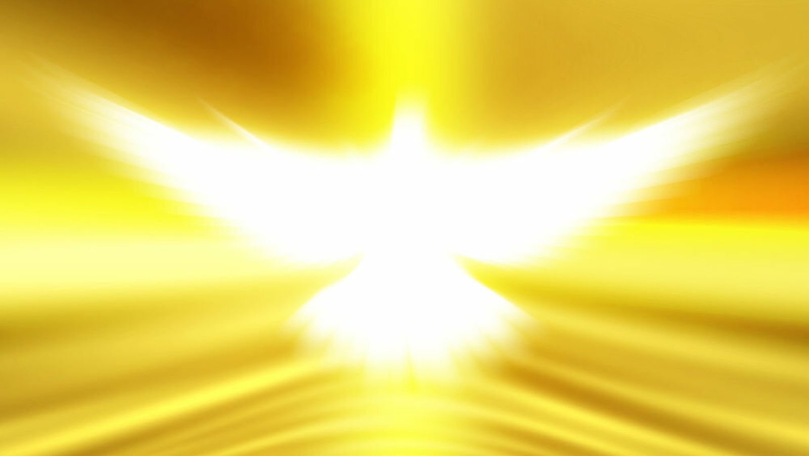 'Alumbre vuestra luz a los hombres'