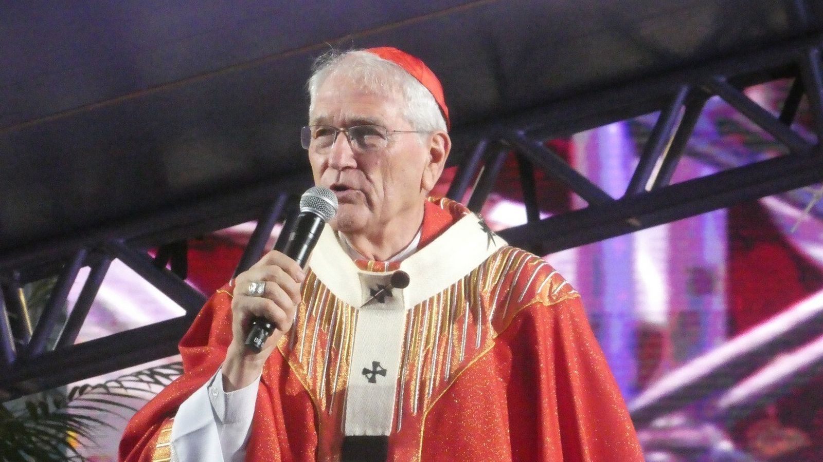 Cardenal Leonardo Steiner en Pentecostés
