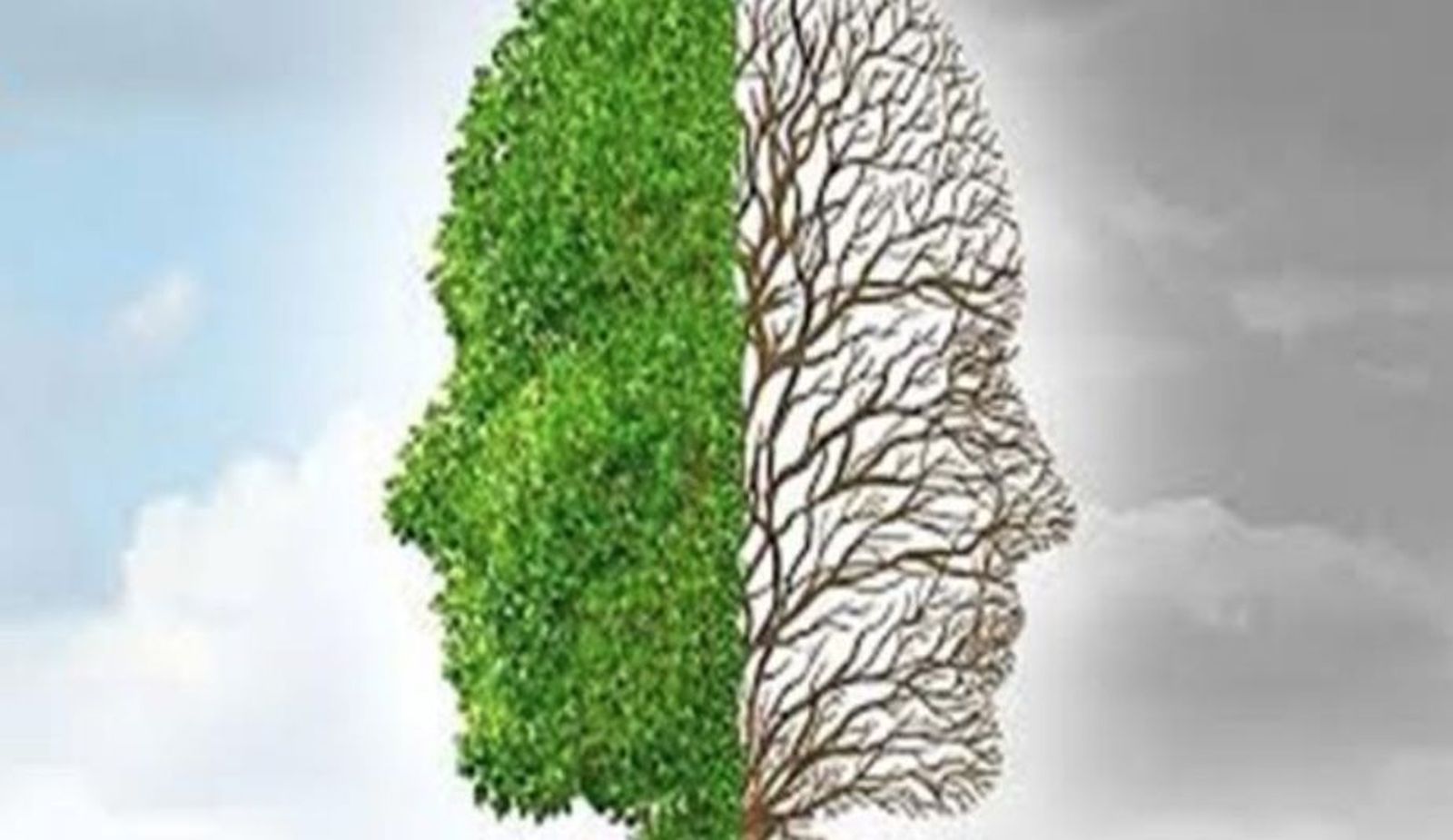 Una nueva cosmovisión